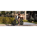 Fat Bike Electrique Tout Suspendu Rover 008 (copie)