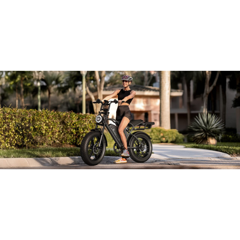 Fat Bike Electrique Tout Suspendu Rover 008 (copie)