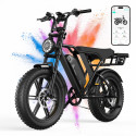 Fat Bike Electrique Tout Suspendu Rover 008 (copie)